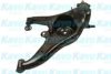 HYUNDAI 55504M3000 Track Control Arm
